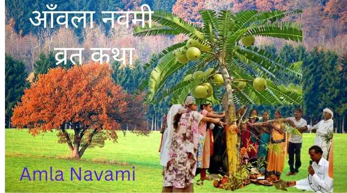 Amla Navami vart